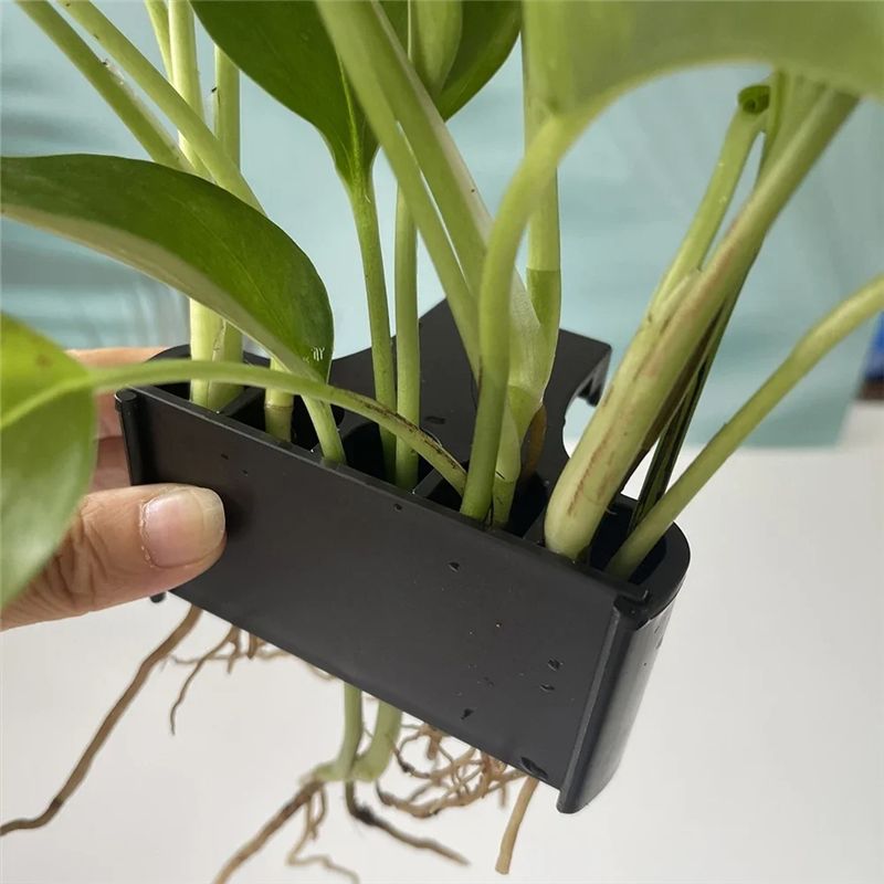 AT05 – Vaso per piante da acqu - Live Plant Aquarium recensione e prezzo