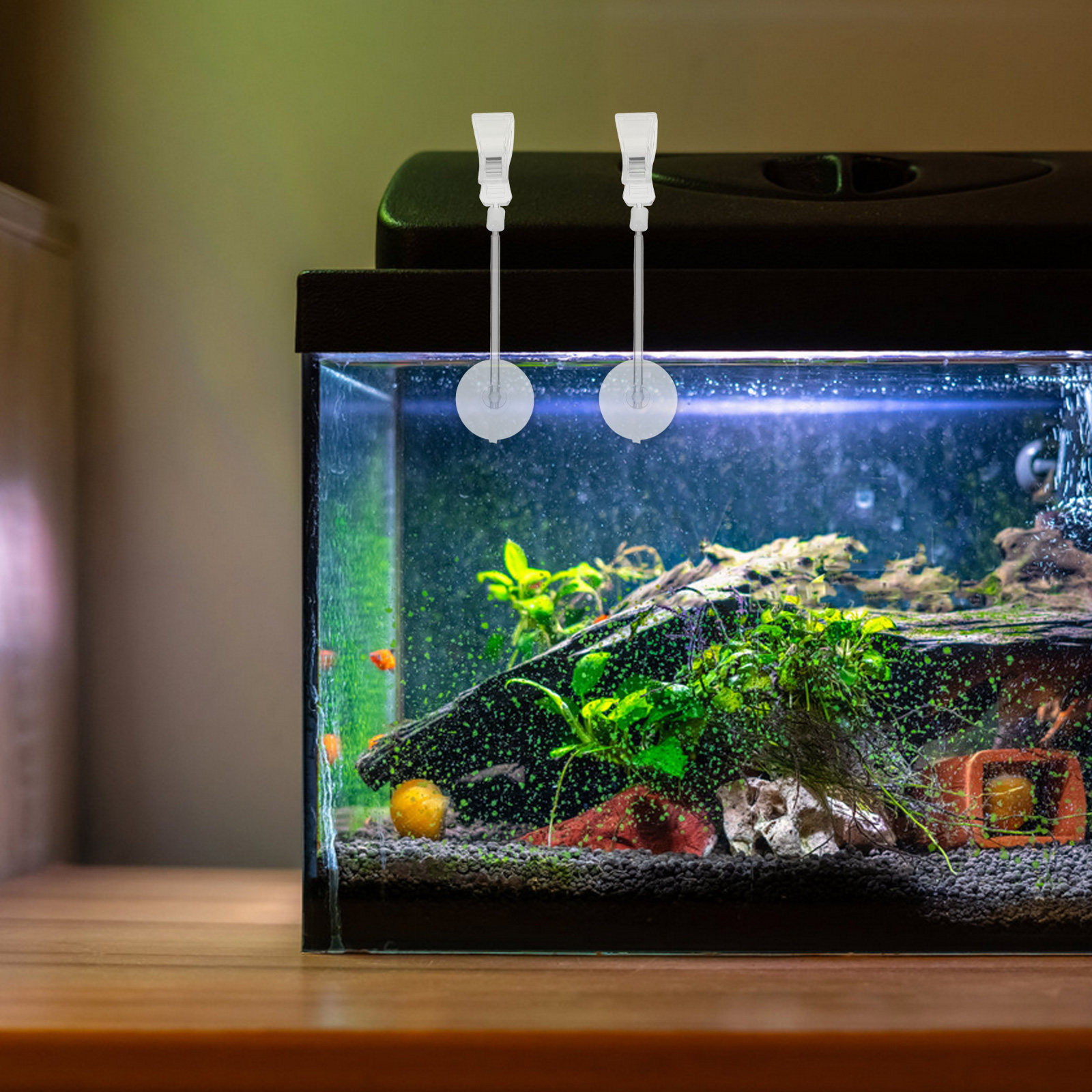 3 pezzi: supporto per acquario - Aquarium Plant Holder recensione e prezzo