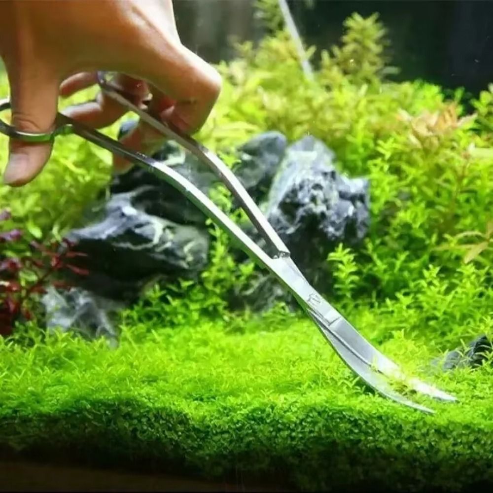 Forbici per Acquario in Acciai - Planted Aquarium Cleaning recensione e prezzo