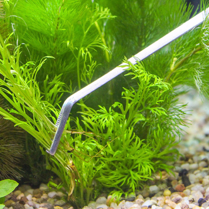Kit professionale di strumenti - Aquarium Plants Live recensione e prezzo