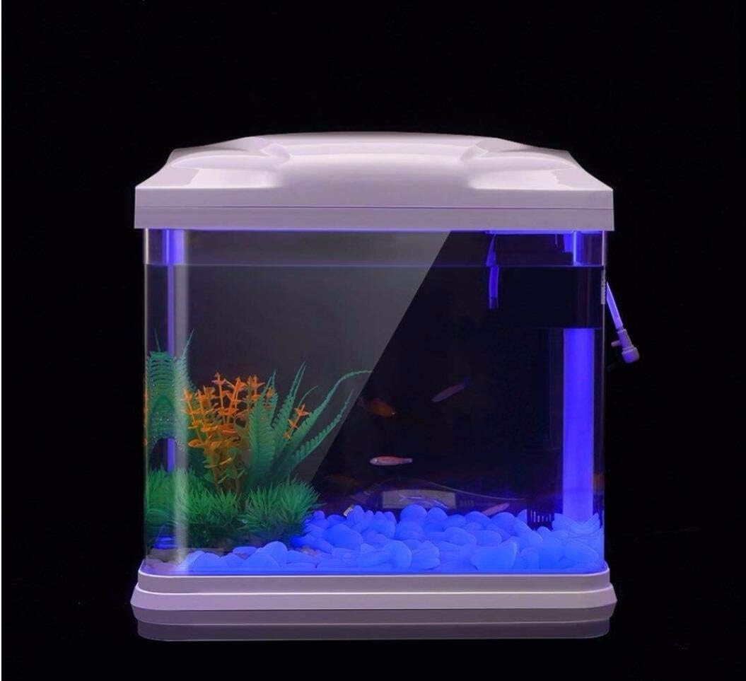 Rocce per acquari che si illum - Aquarium Moss recensione e prezzo
