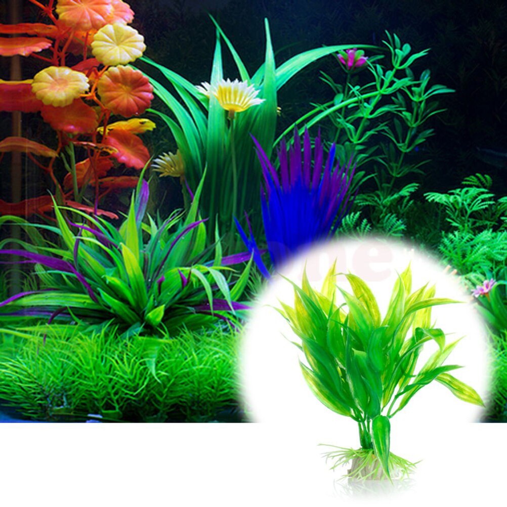 15cm artificiale acquario Deco - Live Plant Aquarium recensione e prezzo