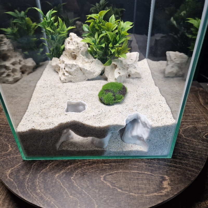 Decorazione Premium per Acquar - Aquarium Plants Live recensione e prezzo