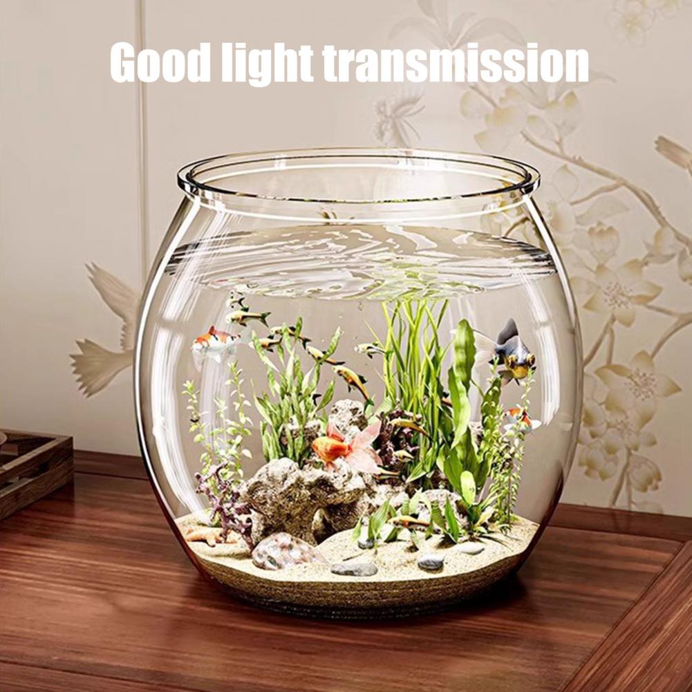 Ciotola per pesci rotonda in p - Plant Aquarium Pot recensione e prezzo