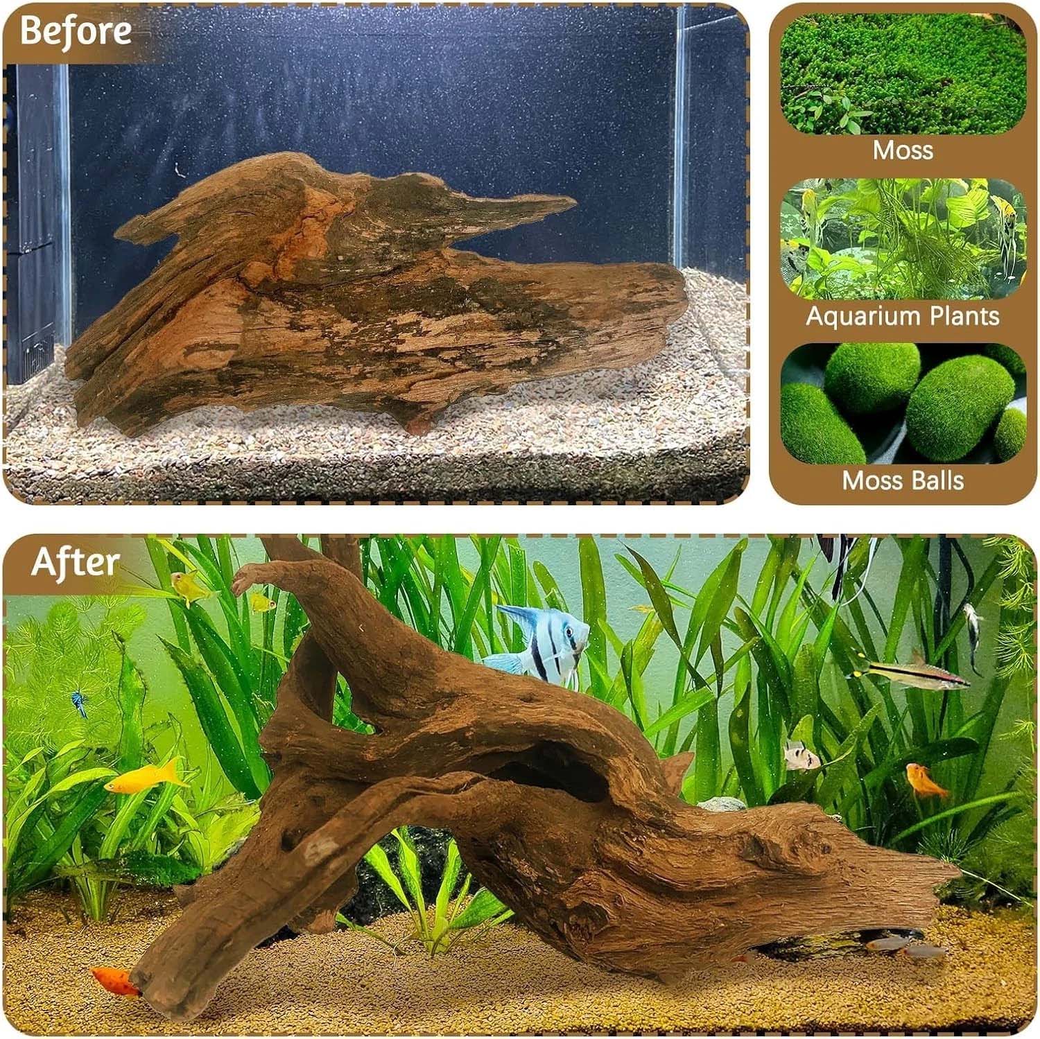 15-20CM 1Pc Legno Naturale Dec - Aquarium Plant Substrate recensione e prezzo