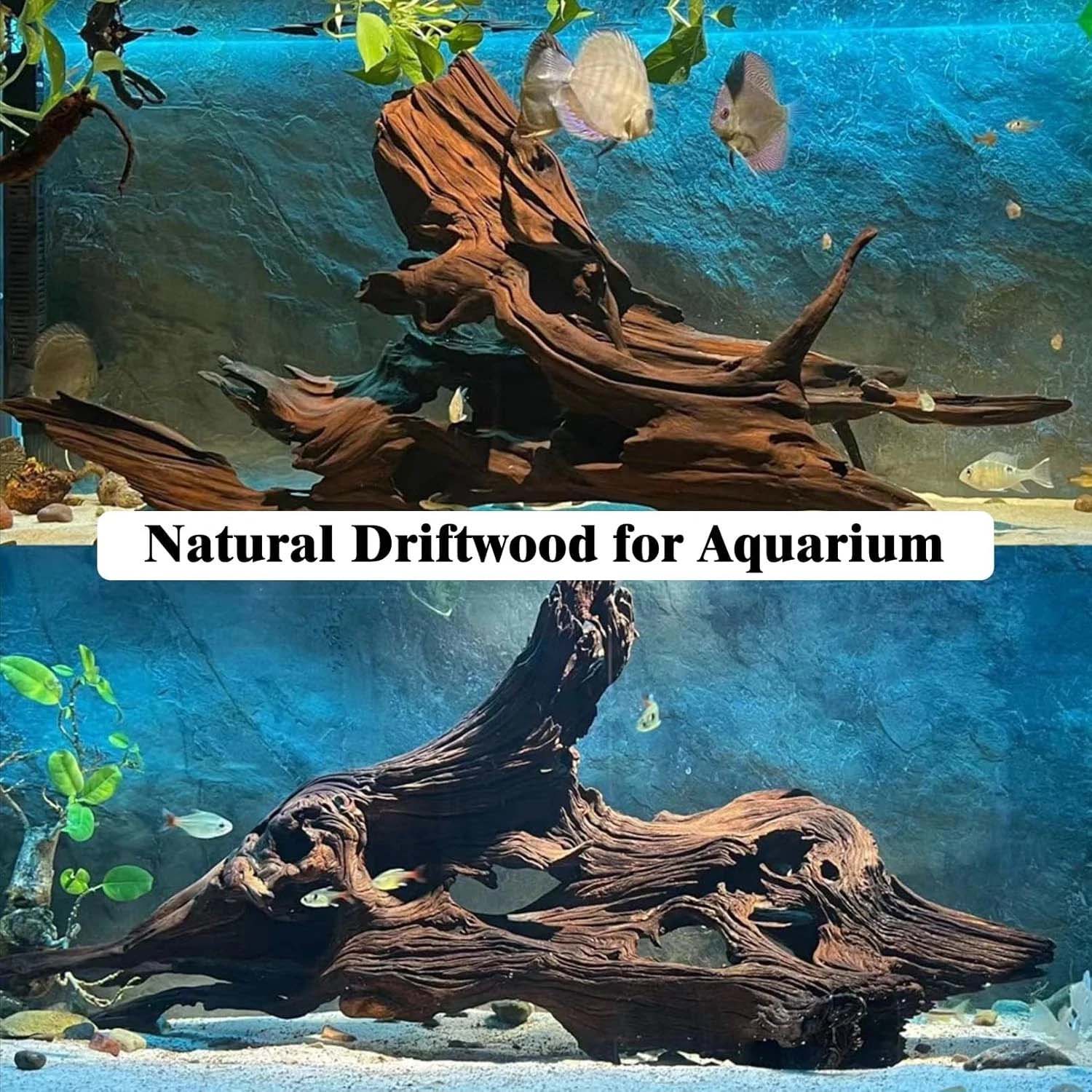 15-20CM 1Pc Legno Naturale Dec - Aquarium Plant Substrate recensione e prezzo