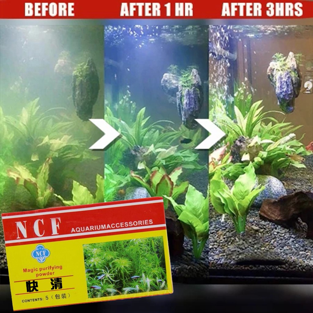 Polvere purificante dell'acqua - Aquarium Moss recensione e prezzo