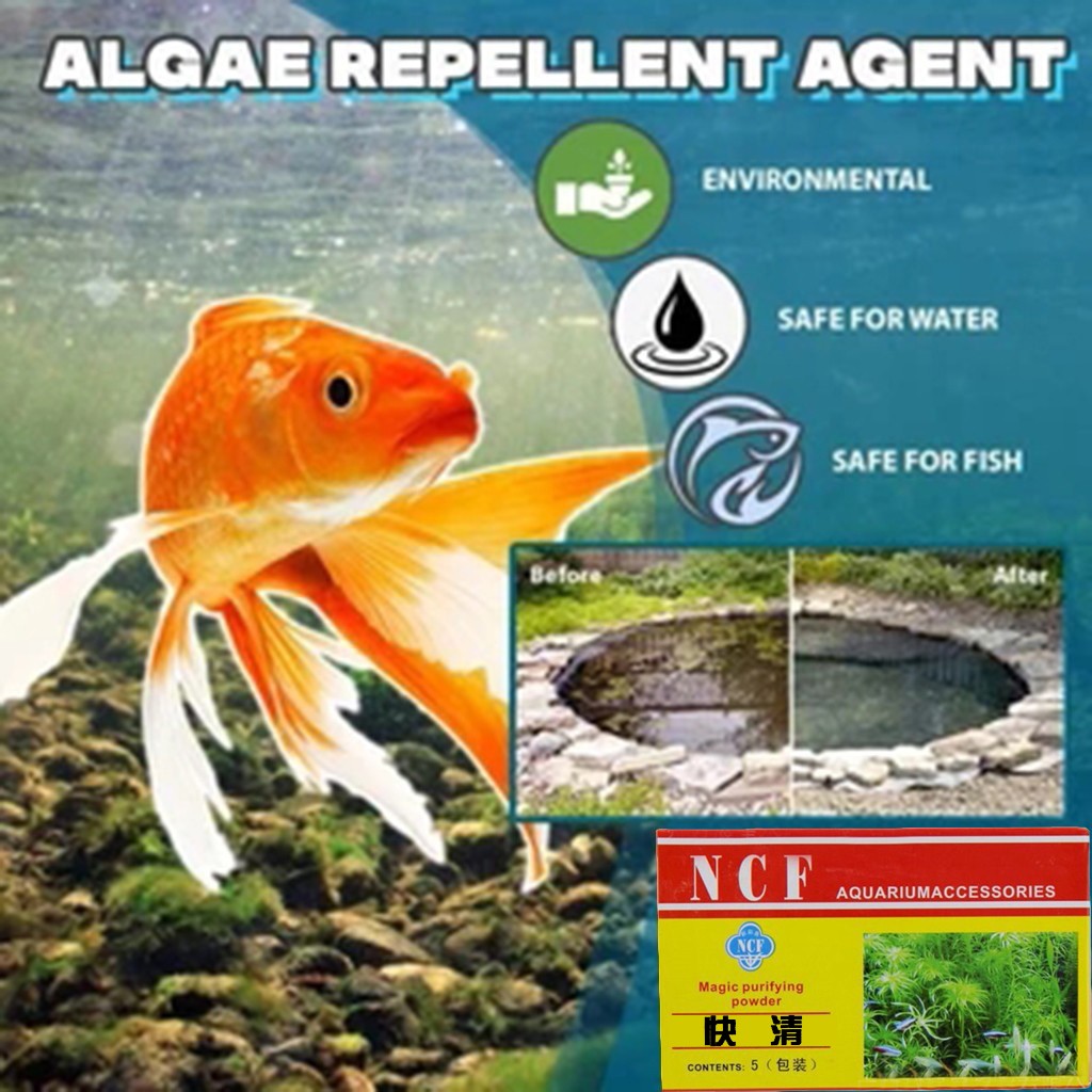 Polvere purificante dell'acqua - Aquarium Moss recensione e prezzo
