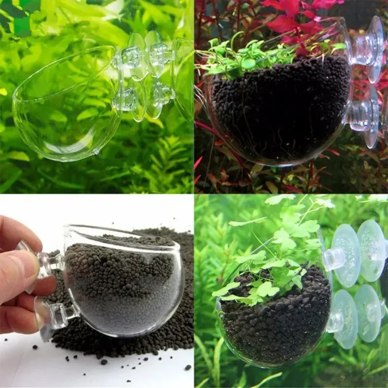 Vaso in vetro trasparente per  - Aquarium Plant Holder recensione e prezzo