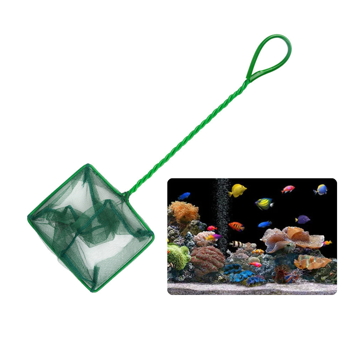 3 ~ 10 pollici portatile in ny - Planted Aquarium Cleaning recensione e prezzo