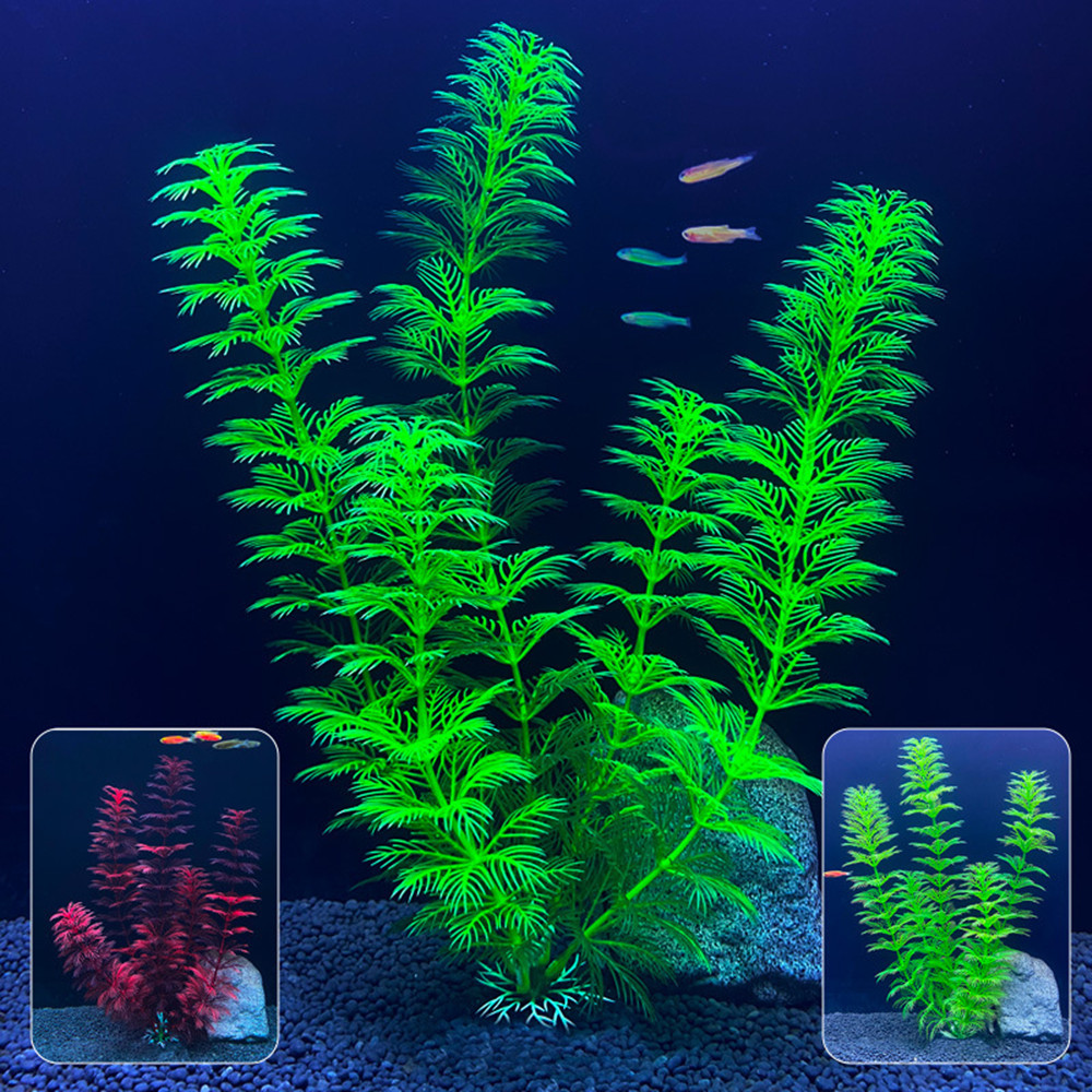 Piante Artificiali per Acquari - Live Plant Aquarium recensione e prezzo