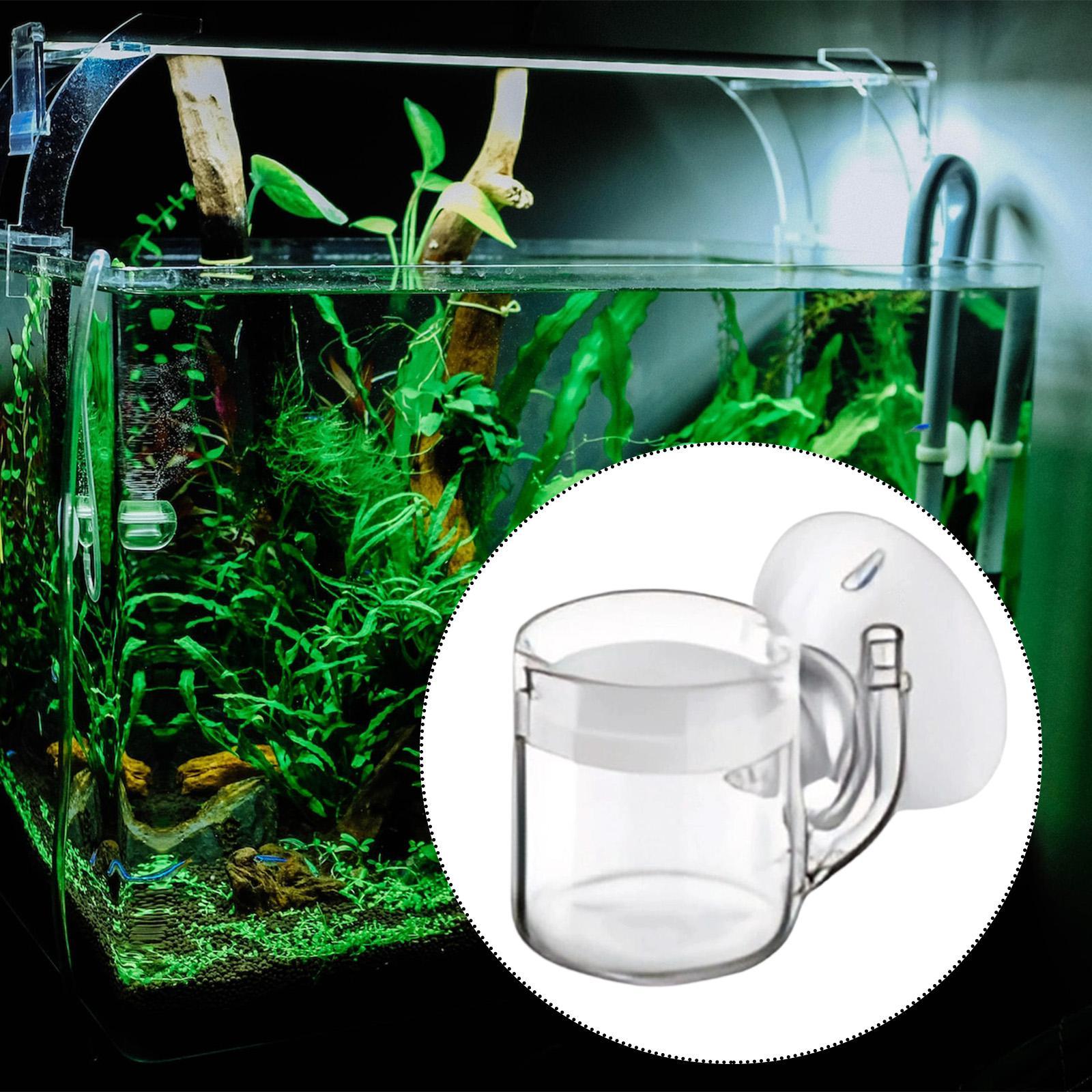 Diffusore di CO2 a Fondo Piatt - Planted Aquarium Cleaning recensione e prezzo