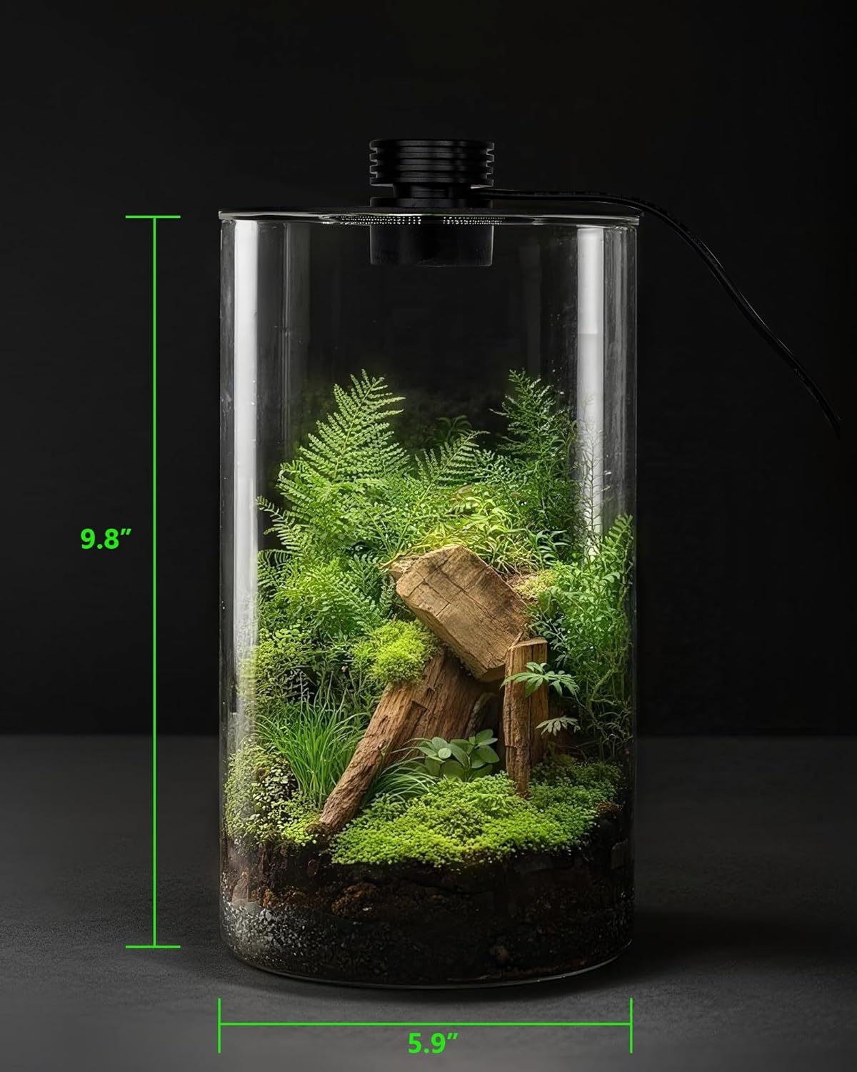 Terrario in vetro da interno c - Planted Tank recensione e prezzo
