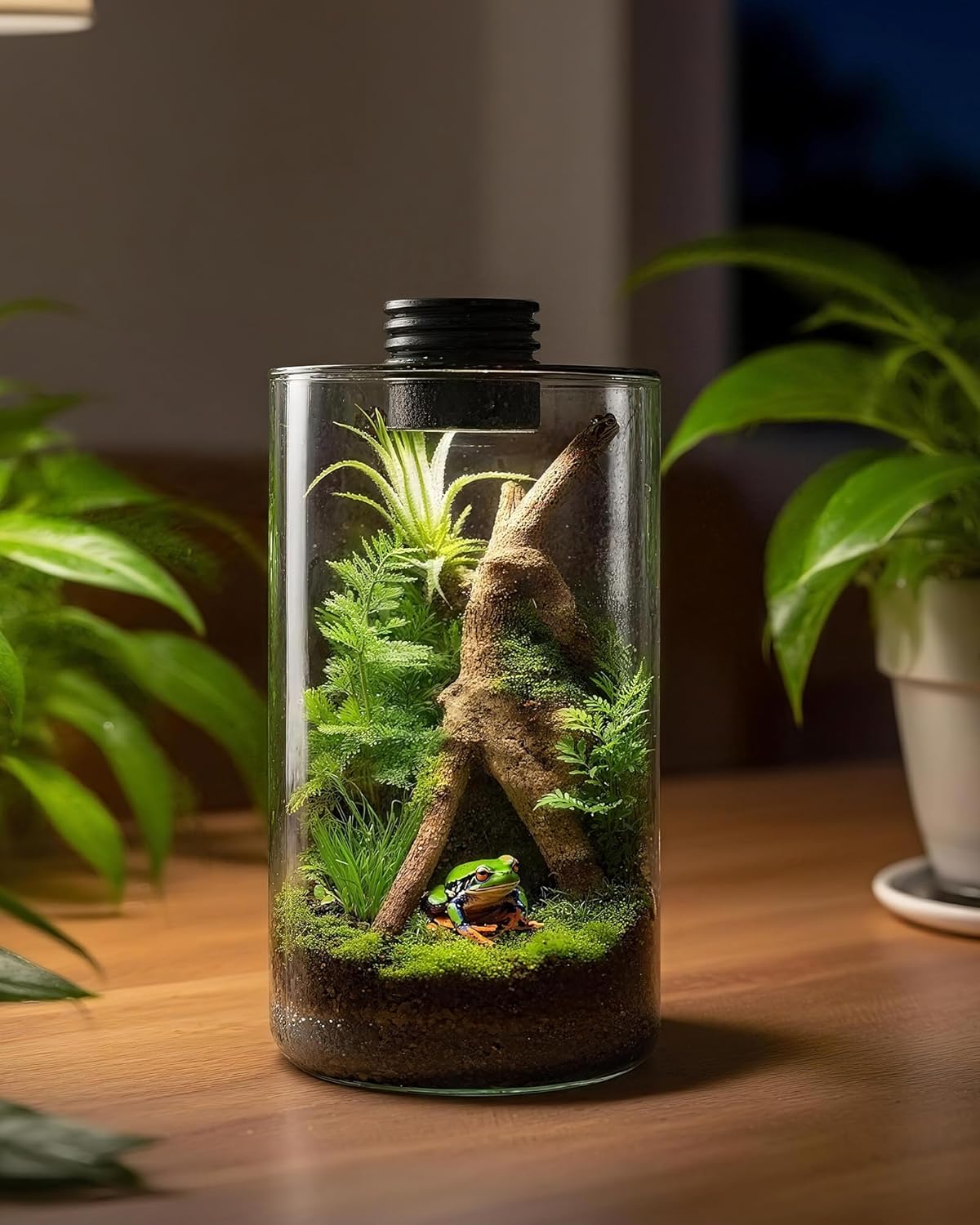 Terrario in vetro da interno c - Planted Tank recensione e prezzo