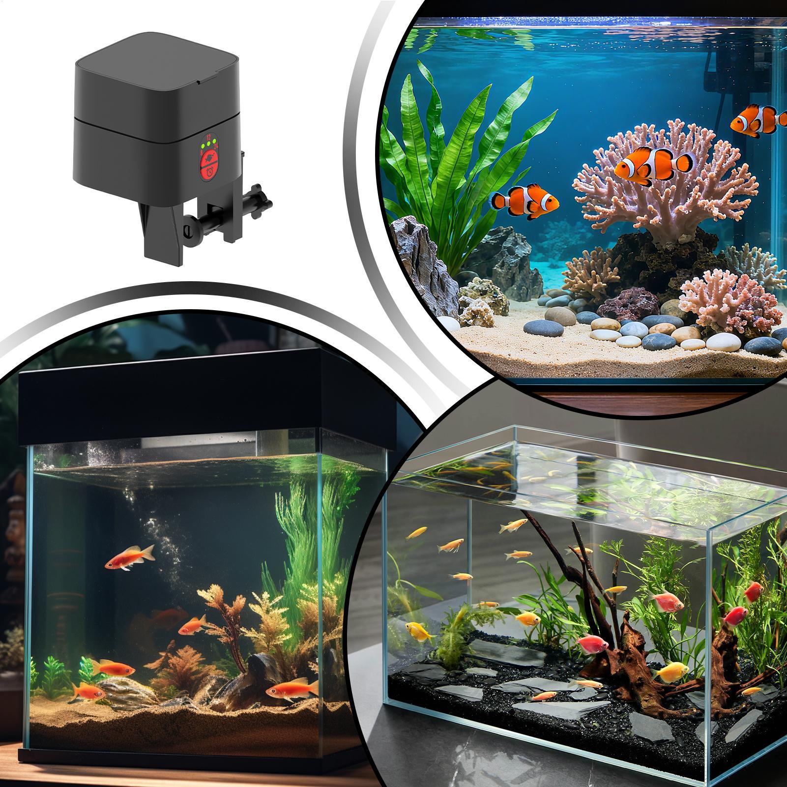 Distributore Automatico di Cib - Aquarium Fertilizer recensione e prezzo