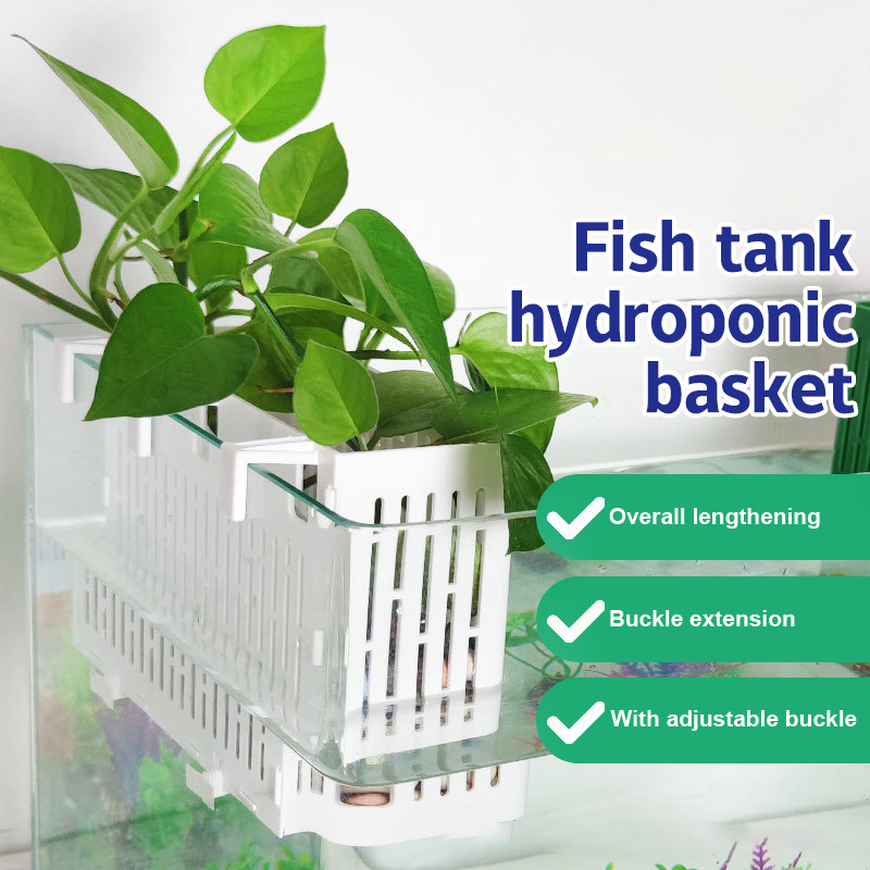 【F】Porta-piante sospeso per ac - Aquarium Plant Substrate recensione e prezzo