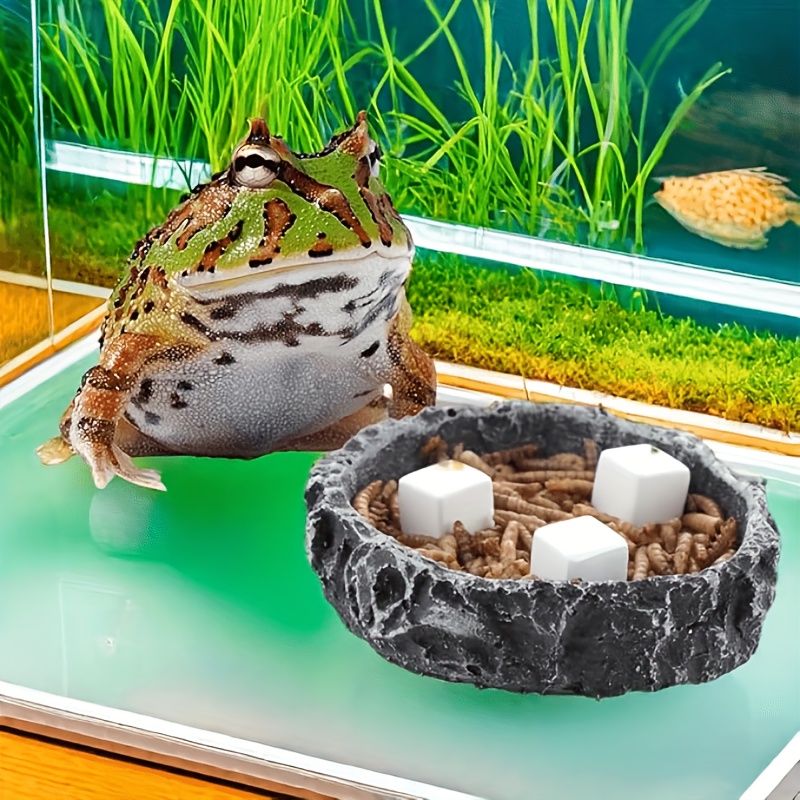 6 Pezzi di Blocchi di Calcio p - Aquarium Plants Live recensione e prezzo