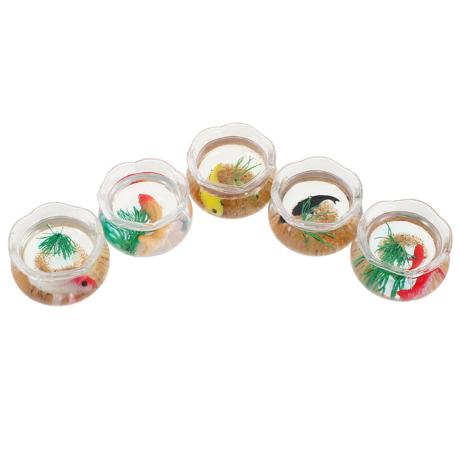 Set da 5 mini acquari a forma  - Planted Tank recensione e prezzo