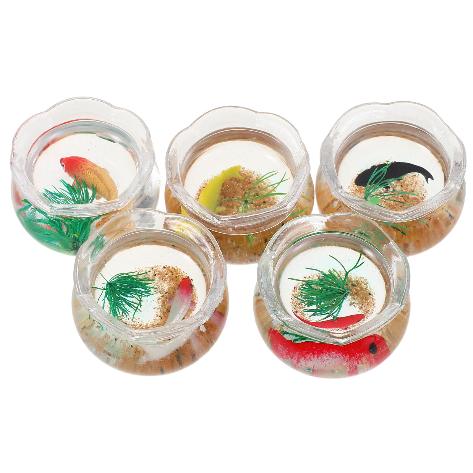 Set da 5 mini acquari a forma  - Planted Tank recensione e prezzo