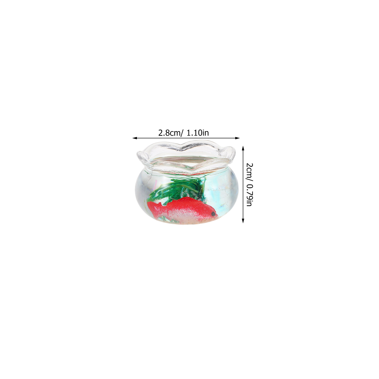 Set da 5 mini acquari a forma  - Planted Tank recensione e prezzo